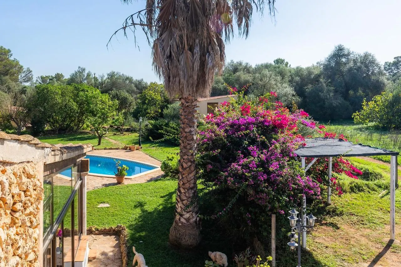Finca Pep Sineu